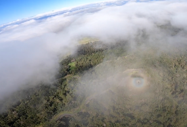 Paragliding Maui