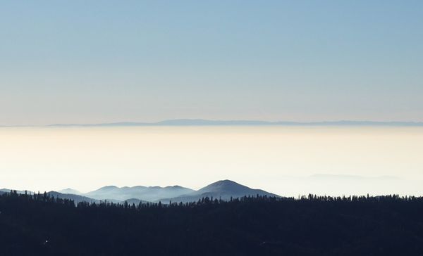 Visibility and Inversion Layers